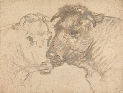Two Bulls