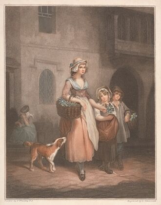 Two Bunches of Penny Primroses, Two Bunches a Penny (1793)