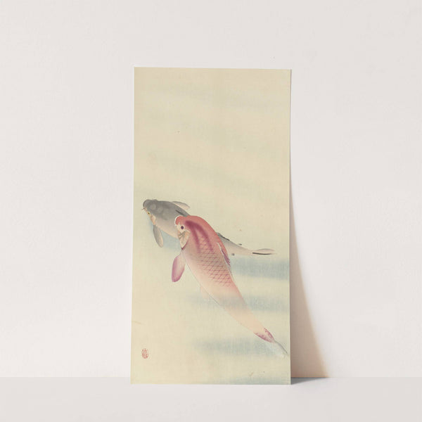 Two carp by Ohara Koson