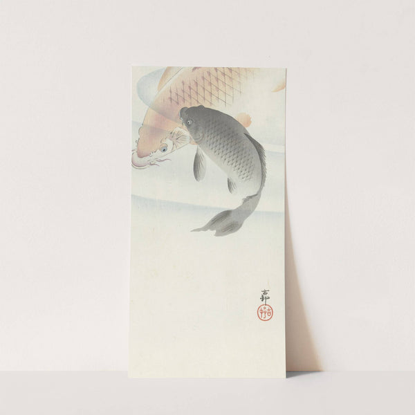 Two Carps by Ohara Koson