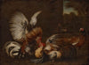 Two cocks fighting in a farmyard, a pheasant and two hens nearby (1713)
