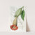 Two-coloured Brugmansia by Sydenham Edwards