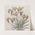 Two-coloured yellow-haired Anigozanthus (1815-1819) by Sydenham Edwards