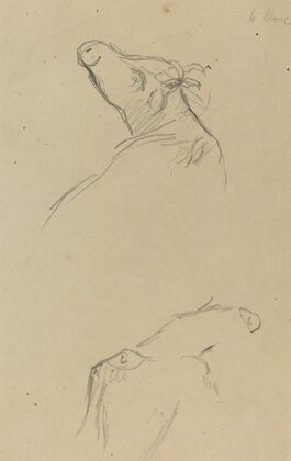 Two Cow’s Heads (verso)
