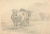 Two Cows on a Hill