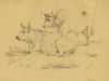 Two cows on a pasture