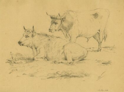 Two cows on a pasture