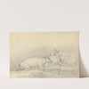 Two Cows Resting by Thomas Bradshaw