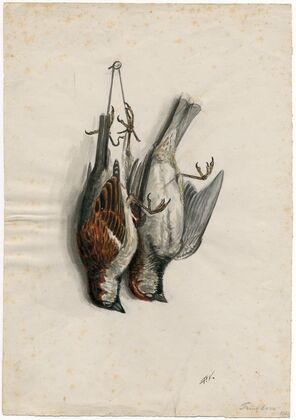 Two dead sparrows on a nail