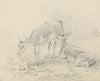 Two Deer