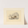 Two deer, near a running fence (1820 - 1830) by Henry Thomas Alken