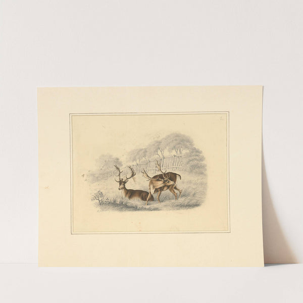 Two deer, near a running fence (1820 - 1830) by Henry Thomas Alken