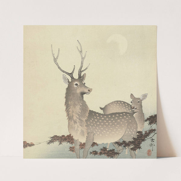 Two Deer (1900 - 1930) by Ohara Koson