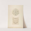 Two designs for decorative motifs featuring cornucopia and rinceaux by Jules-Edmond-Charles Lachaise