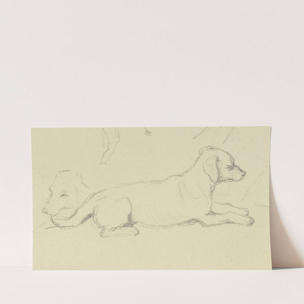 Two dogs by Jakob Becker