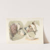 Two dogs’ heads and a paw. (1817-1818) by Henry Thomas Alken
