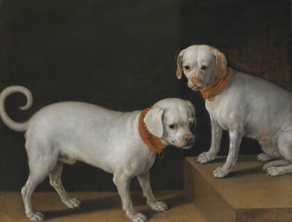 Two dogs with red collars