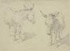 Two donkeys