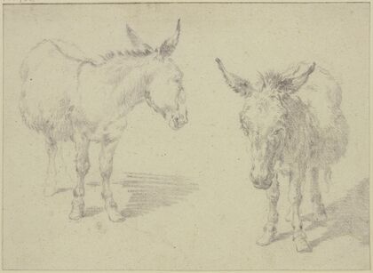 Two donkeys