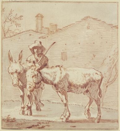 Two donkeys and their driver