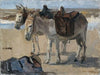 Two Donkeys