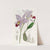 Two-edged Laelia by Sydenham Edwards