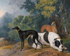 Two Greyhounds And A Mastif Belonging To The Duke Of Hamilton