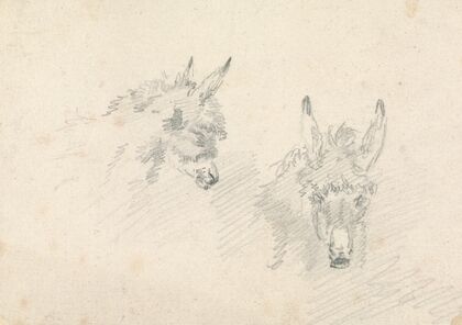 Two Heads of Donkeys