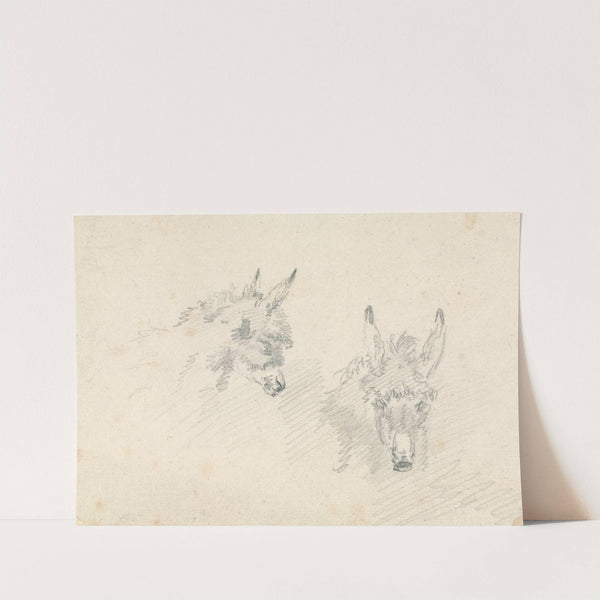Two Heads of Donkeys by Sawrey Gilpin