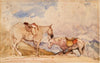 Two Horses