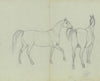 Two horses
