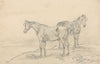 Two Horses