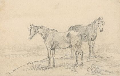 Two Horses