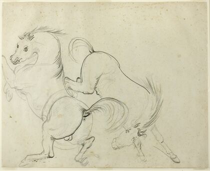 Two Horses Cavorting