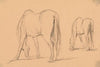 Two Horses Feeding