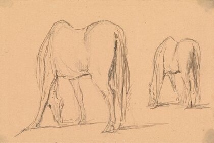 Two Horses Feeding