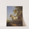 Two Horses in a Landscape by Nicolaes Pietersz. Berchem