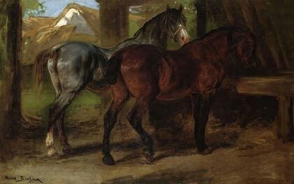 Horse Artwork
