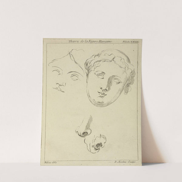 Two human female faces and two noses-one human, animal by Peter Paul Rubens
