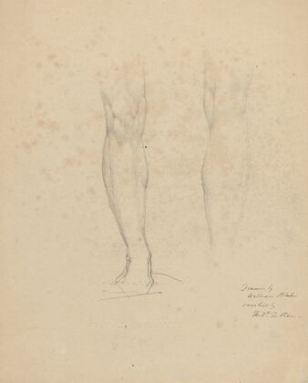 Two Legs