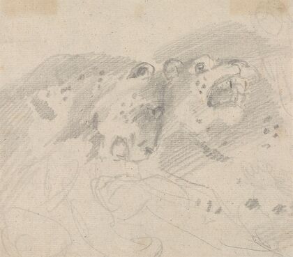 Two Leopards