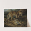 Two leopards by William Huggins