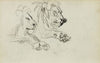 Two lion studies