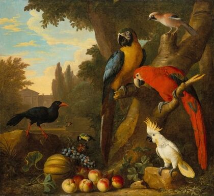 Two macaws, a cockatoo, a red-billed chough and other birds in a landscape with fruit