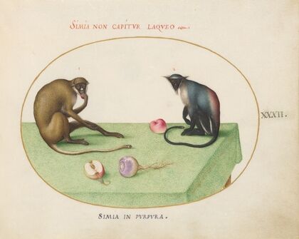 Two Monkeys on a Table (1575-1590)