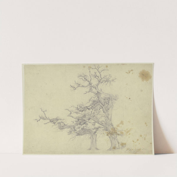 Two old trees (1843) by Jakob Becker