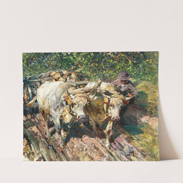 Two Oxen Pulling a Cart in Bolzano, Munich (1909) by Heinrich Von Zügel