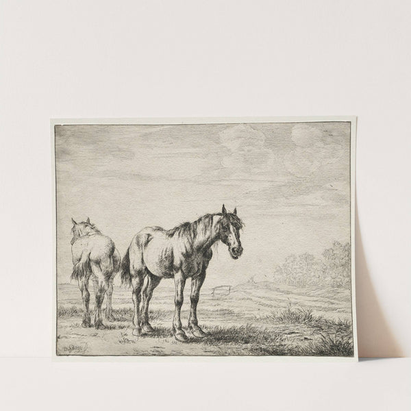 Two plough horses by Dirck Stoop