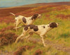 Two pointers in the heather
