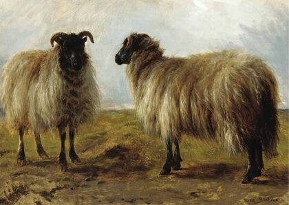 Two Rams In A Landscape